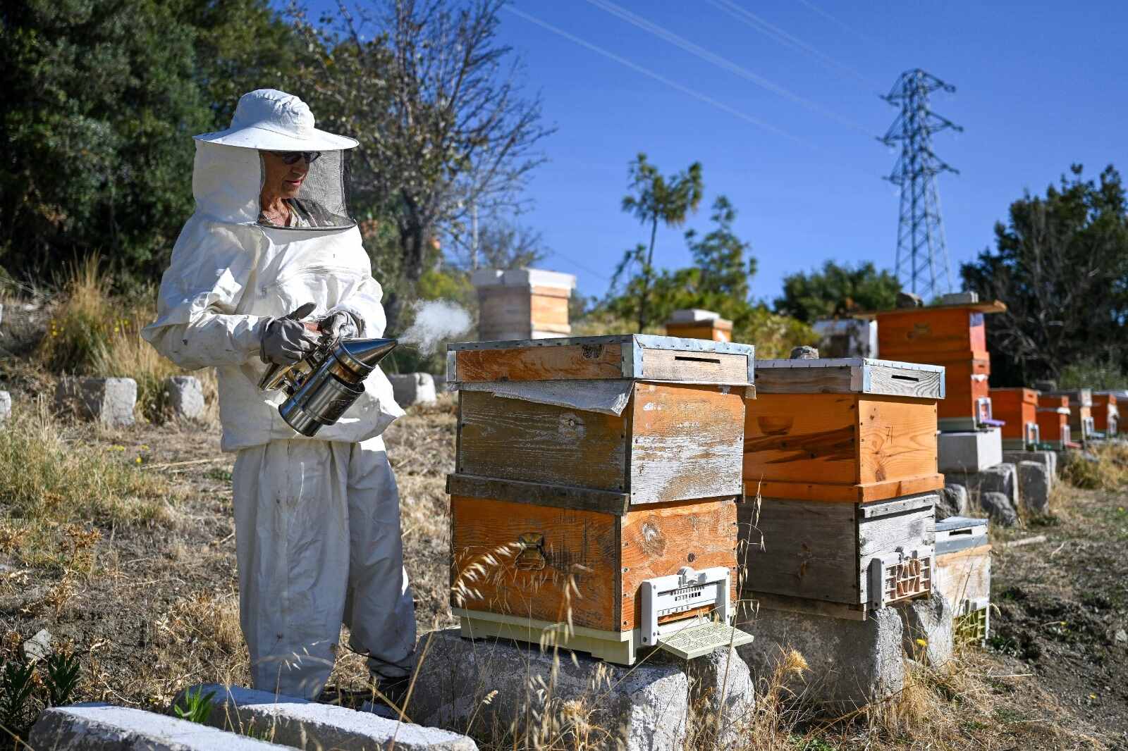 Doğadan sofraya yolculuk
