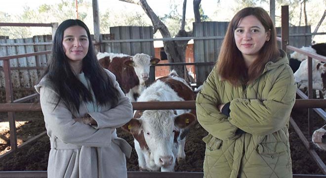 'BESİCİLİĞE DÖNMEYİ DÜŞÜNÜYORUZ'