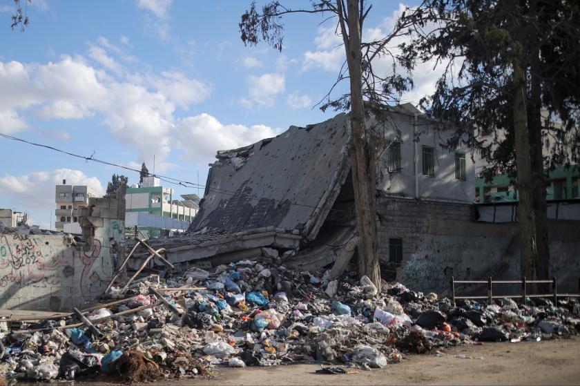 Soykırım iddiaları ve uluslararası tepkiler
