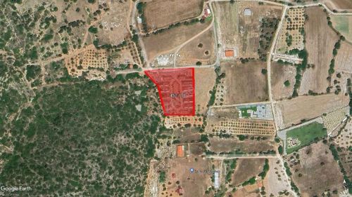 İzmir Çeşme'deki tarla için muhammen bedel 46.650.000,00 lira.