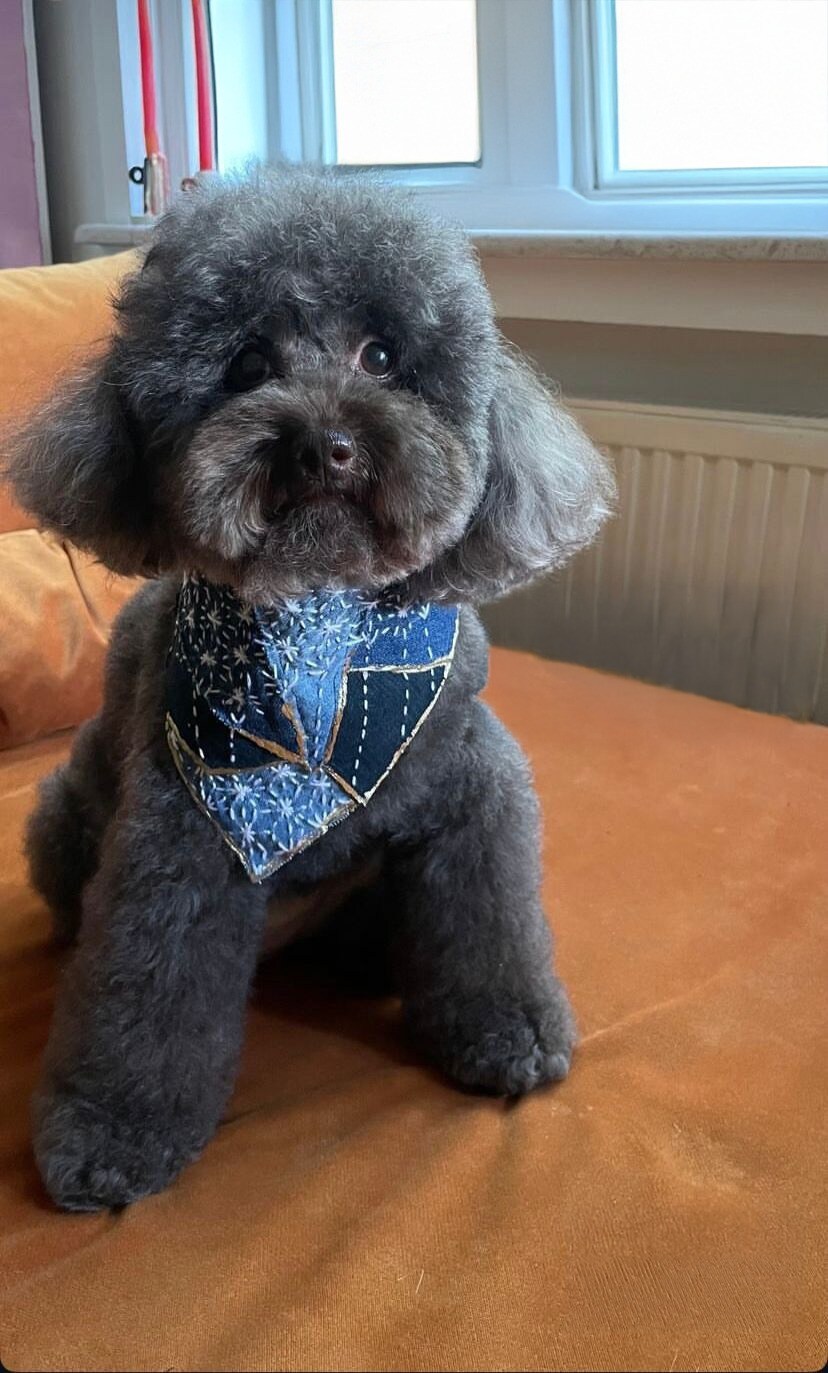 Hem çevreci olan hem de sosyal sorumluluk amacı taşıyan bir projeydi