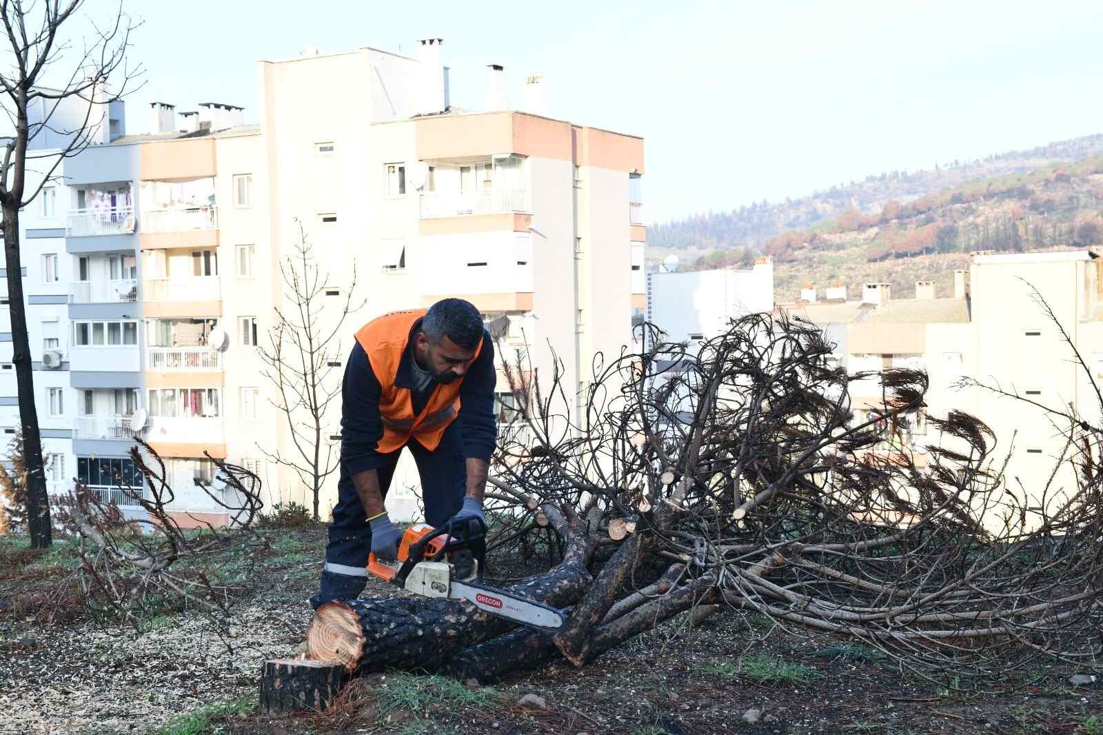 Doğal dengeyi koruma çalışmaları