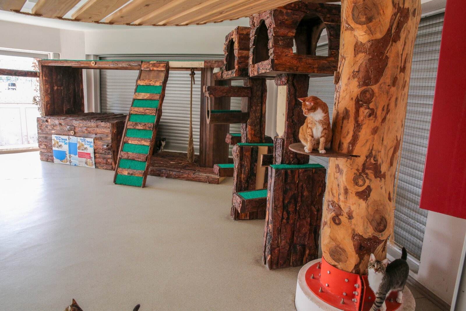 Ziyaretçiler tarafından gözlenebiliyor