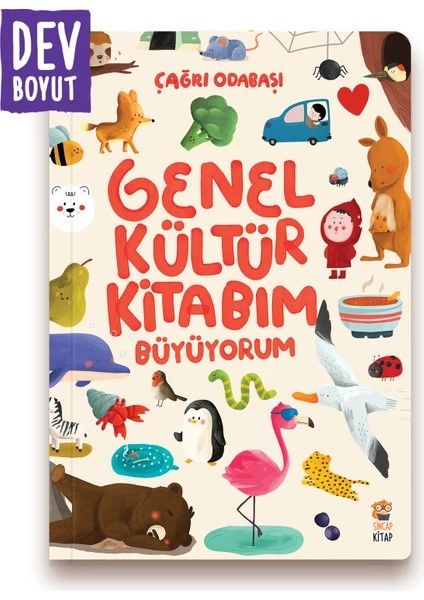 Genel Kültür Kitabım - Büyüyorum en çok satan çocuk kitabı oldu. 