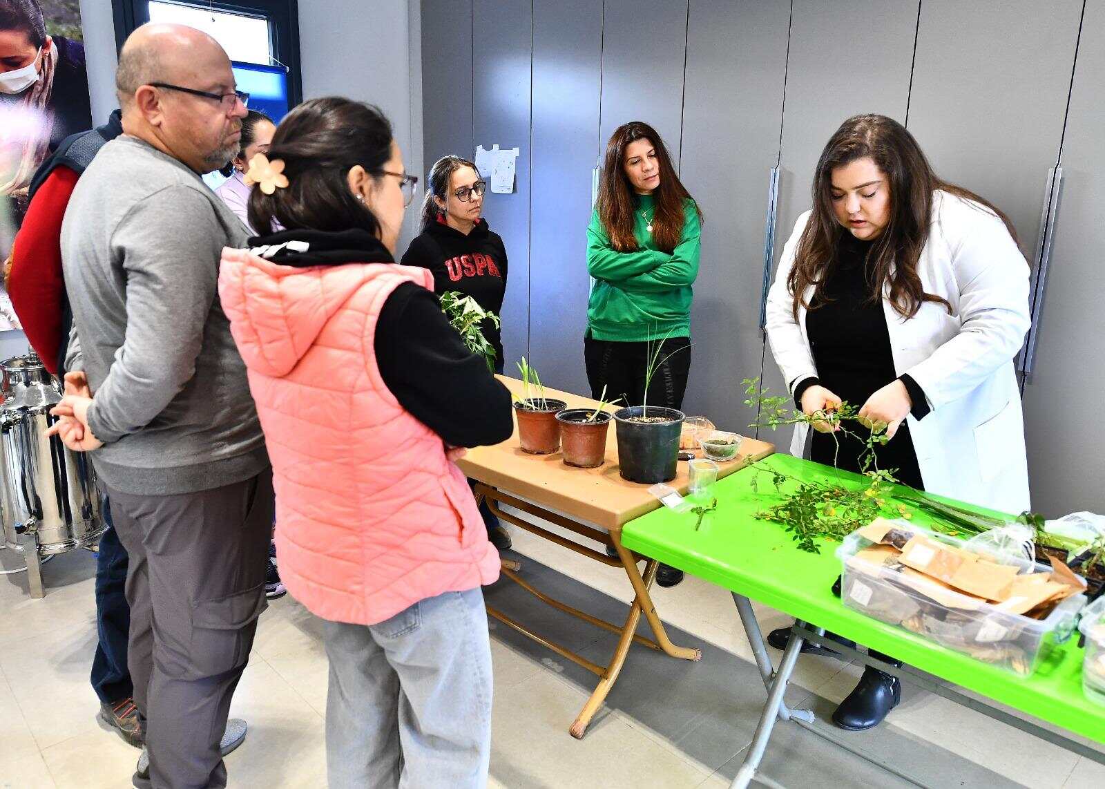 Öğretmenliğe geri dönüş