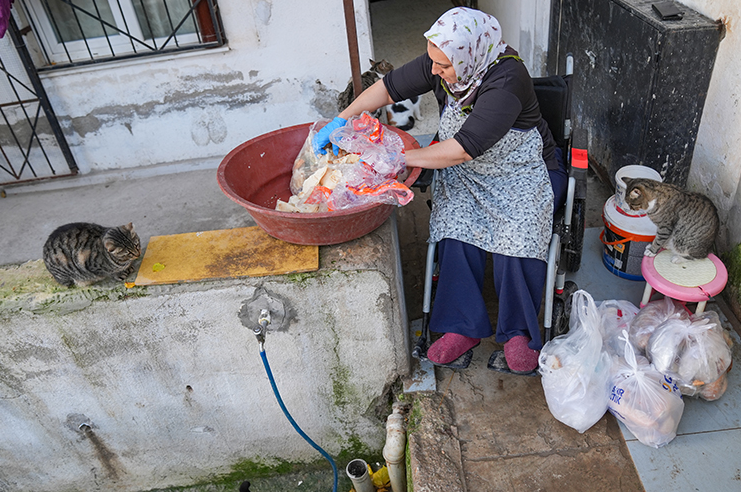 Tekerlekli Sandalyeyle Sahipsiz Hayvanlara Umut Oluyor (3)