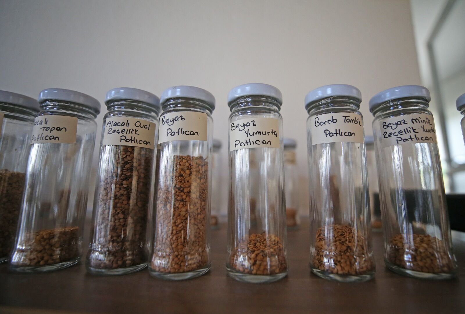 Kent Ormanı'na 1500 paket yerel tohum