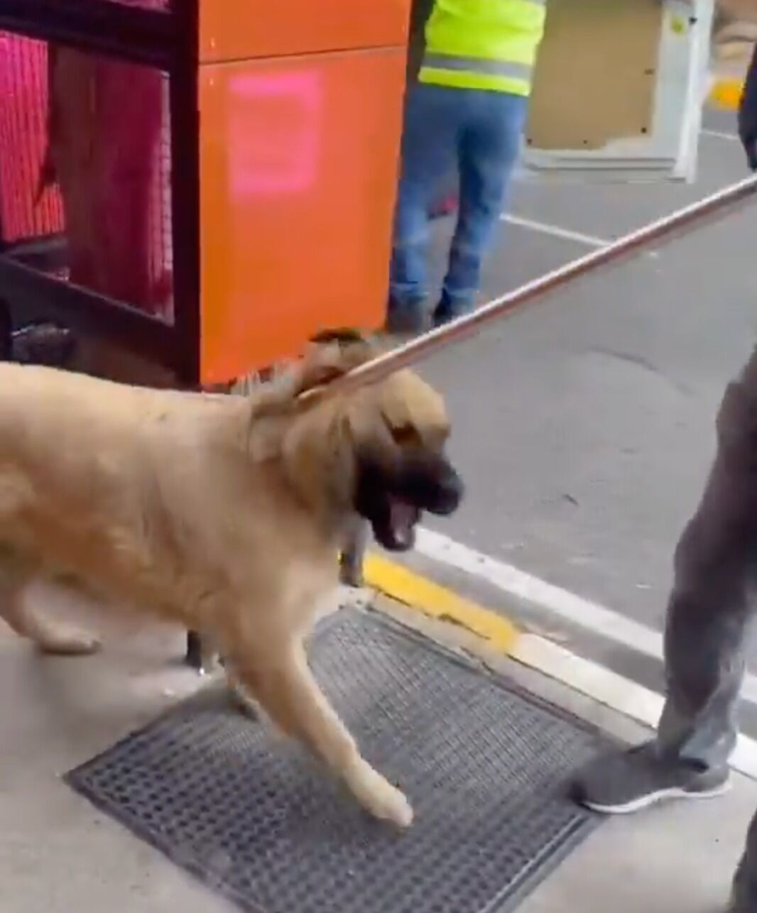 Hayvanseverlerin tepkileri