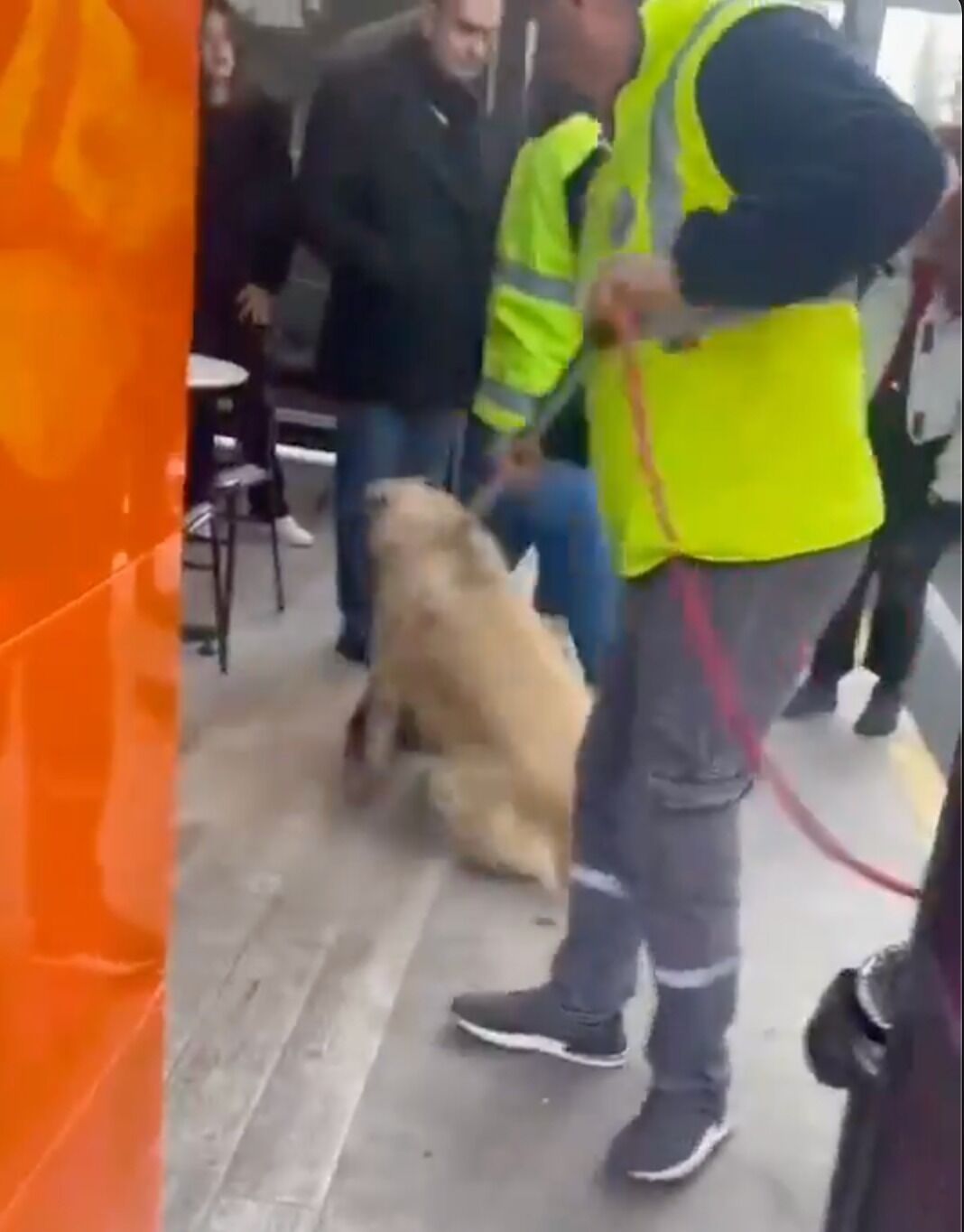 Katliam yasası olarak biliniyor