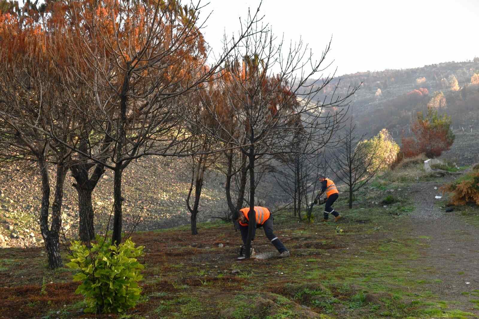 Başkan Onur Emrah Yıldız’dan çevreyi koruma çağrısı
