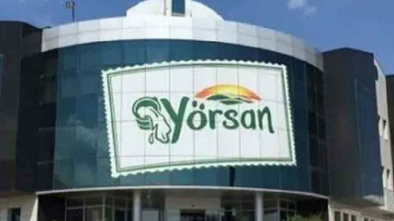 Yörsan2