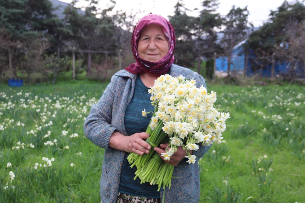 Karaburun'u nergis kokusu sardı