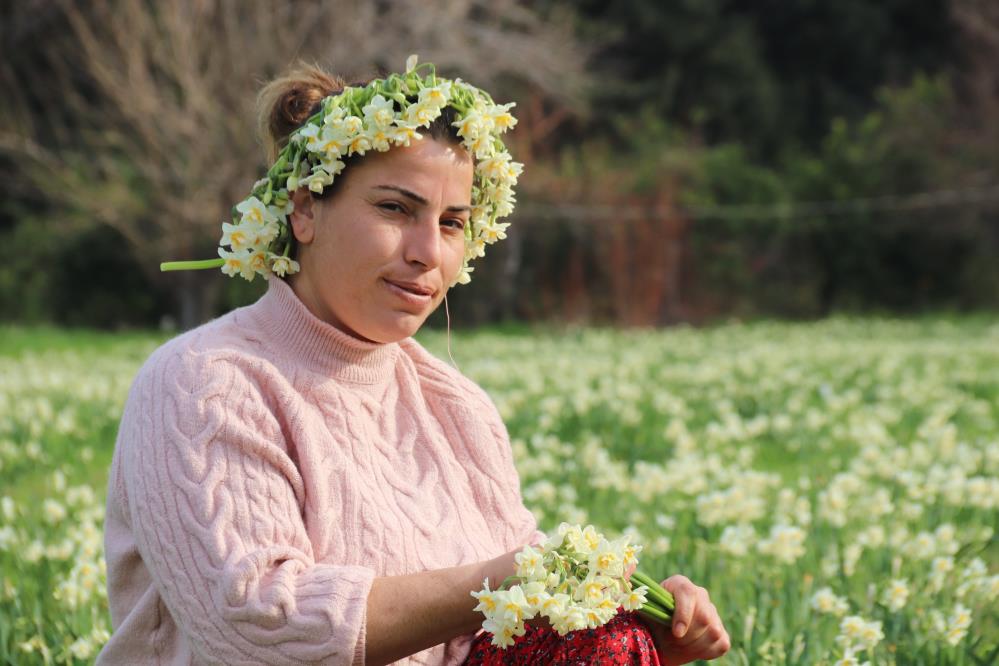 Karaburun'u nergis kokusu sardı