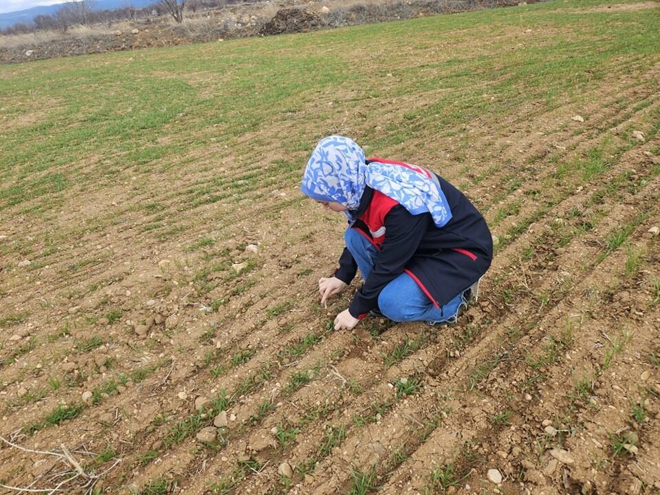 Hububat ve haşhaş ekili alanlarda arazi kontrolleri-2