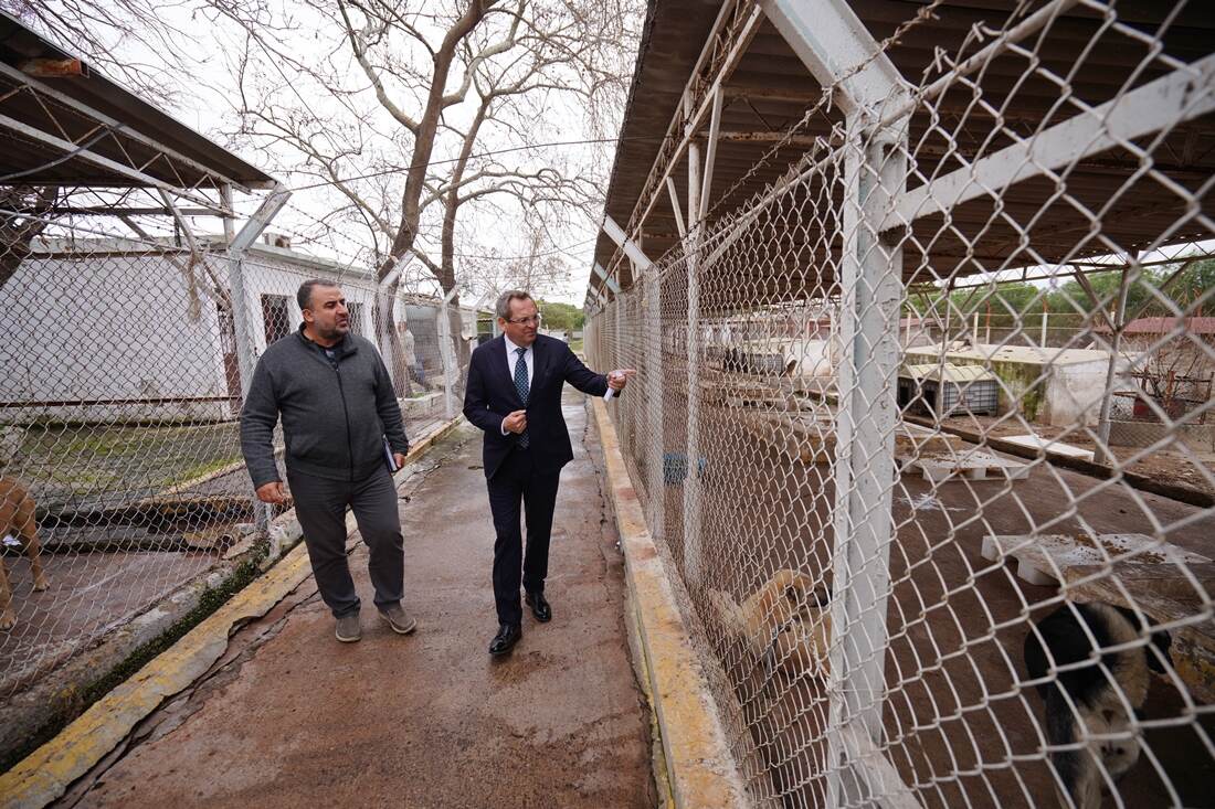 Ayvalık Belediyesi Geçici Bakım ve Rehabilitasyon Merkezi