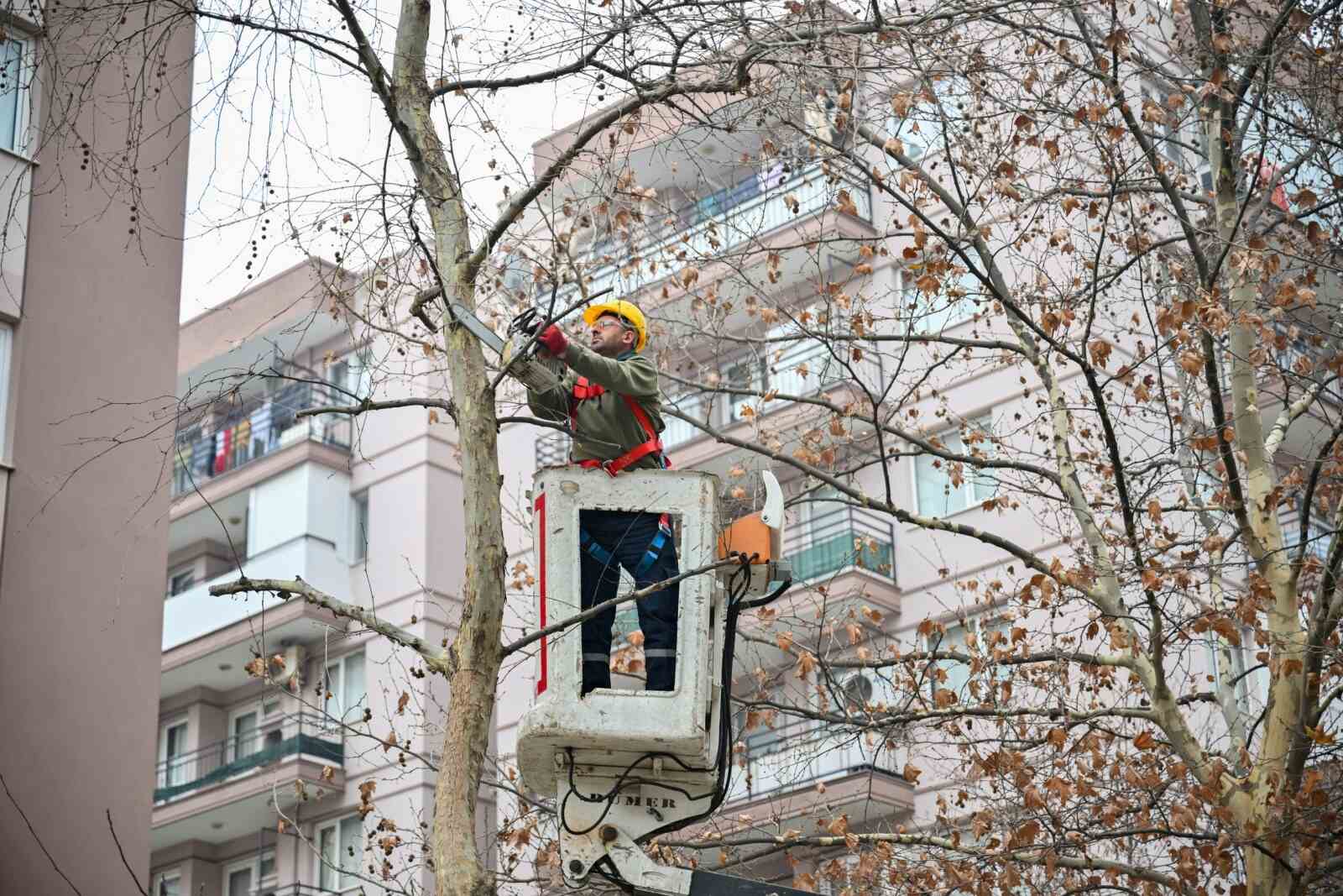 budama çalışması