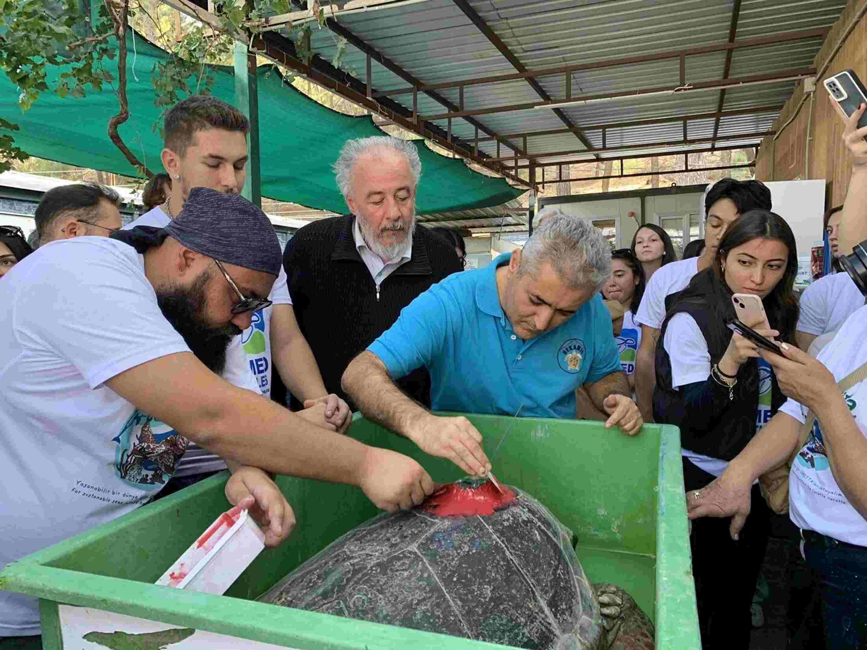 Caretta Caretta Cumhuriyet