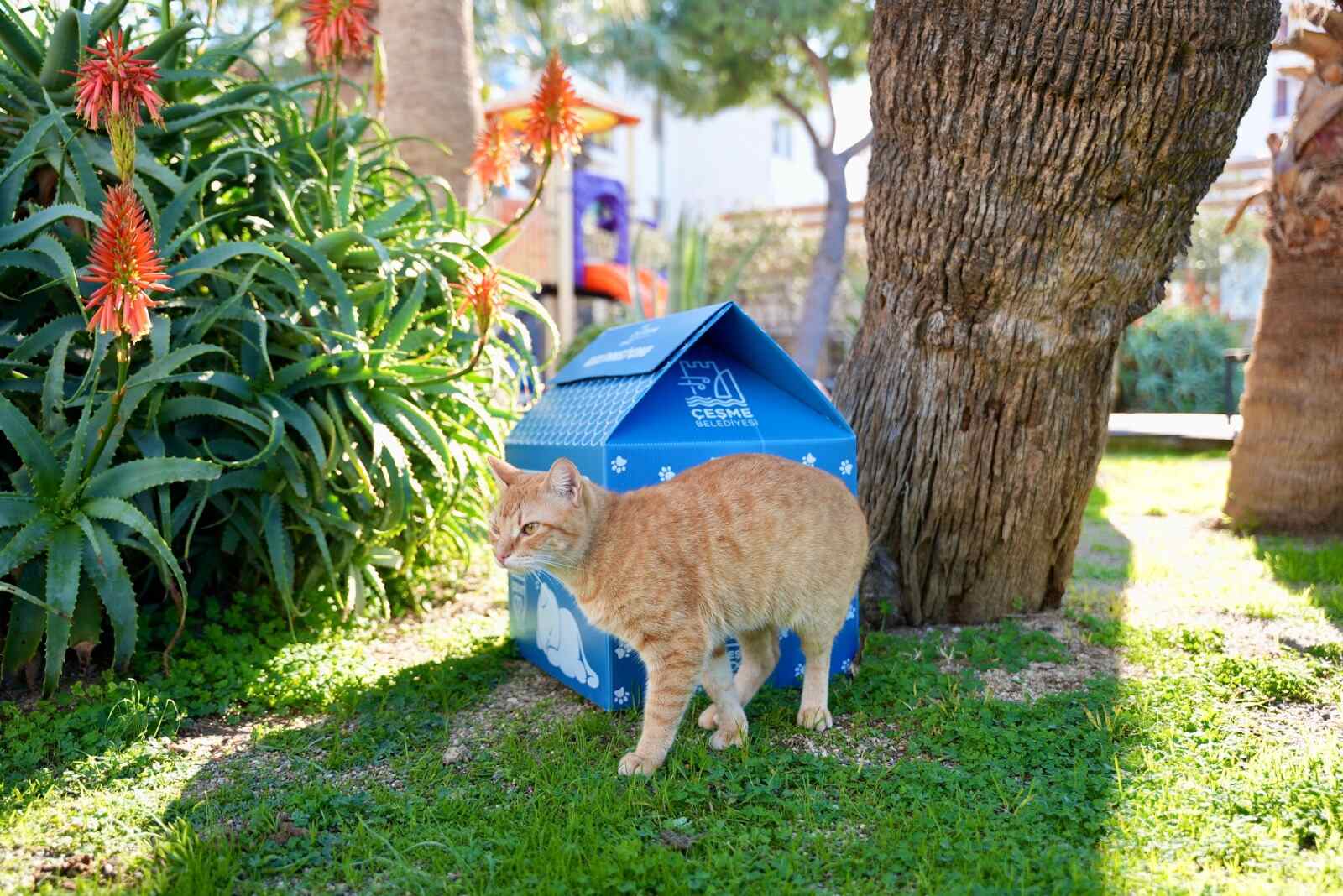 Çeşme Belediyesi Veteriner İşleri Müdürlüğü