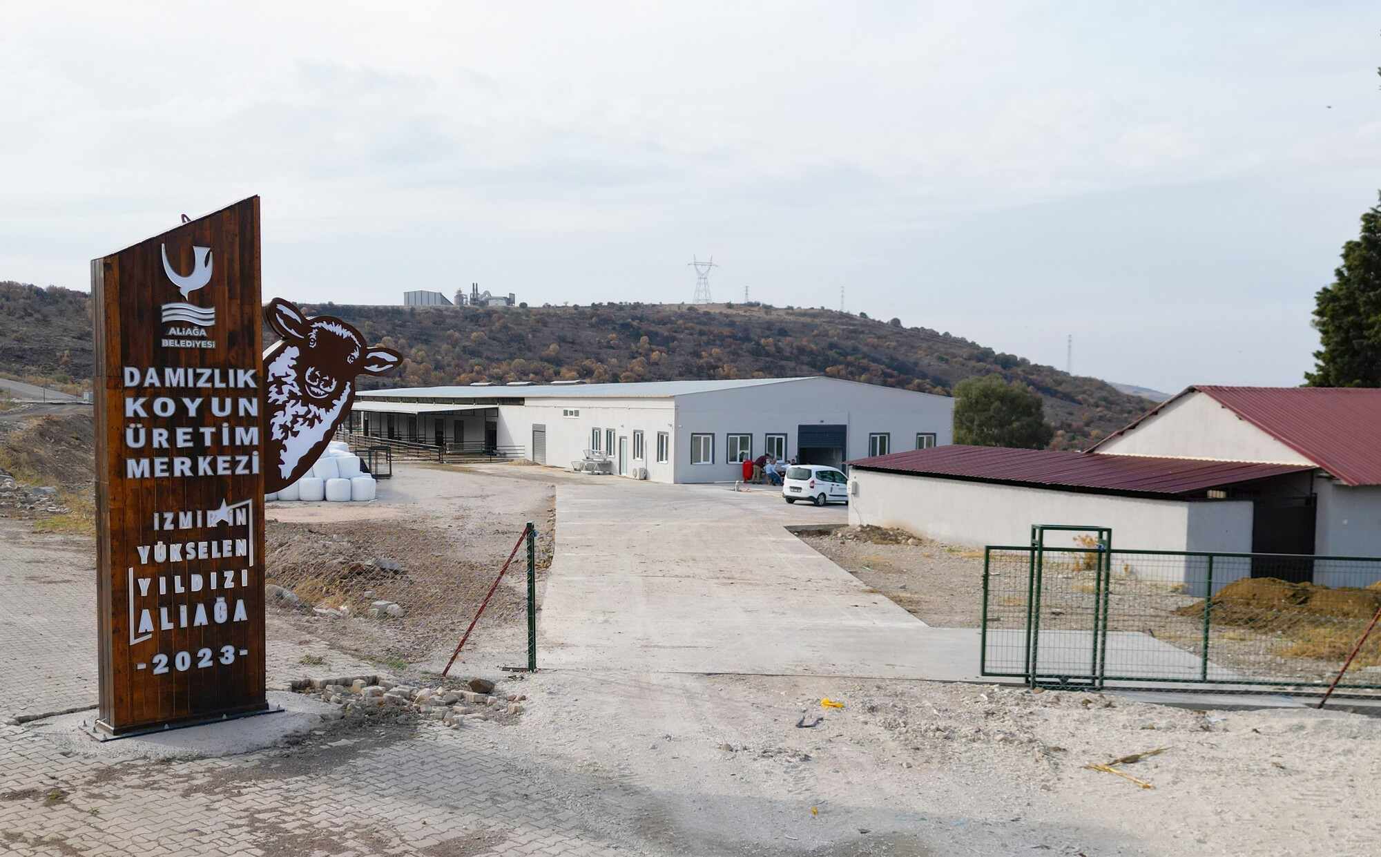 Damızlık koyun üretim merkezi 