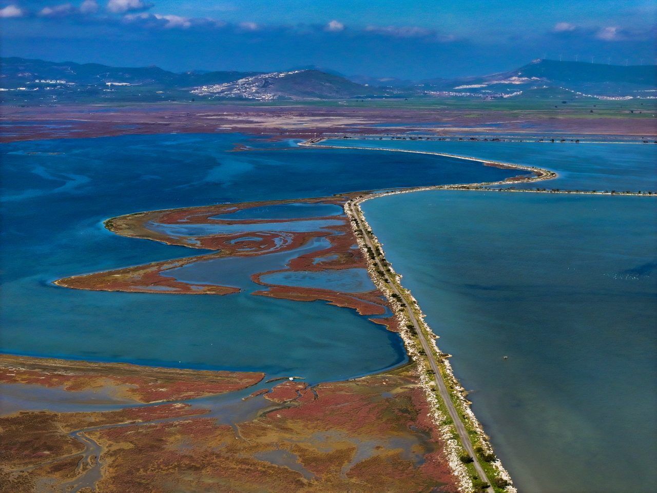 Delta