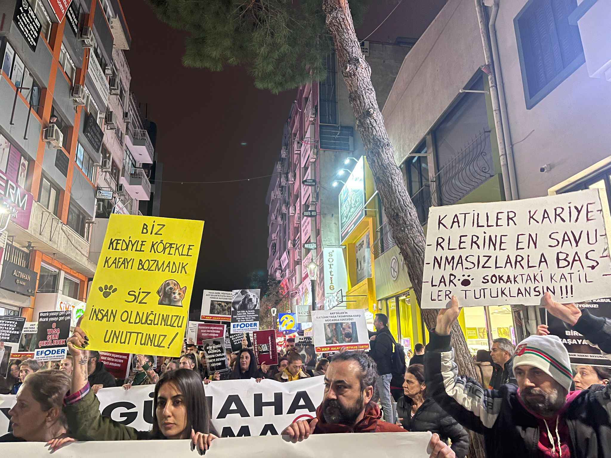 İzmir Hayvan Aktivistleri (1)