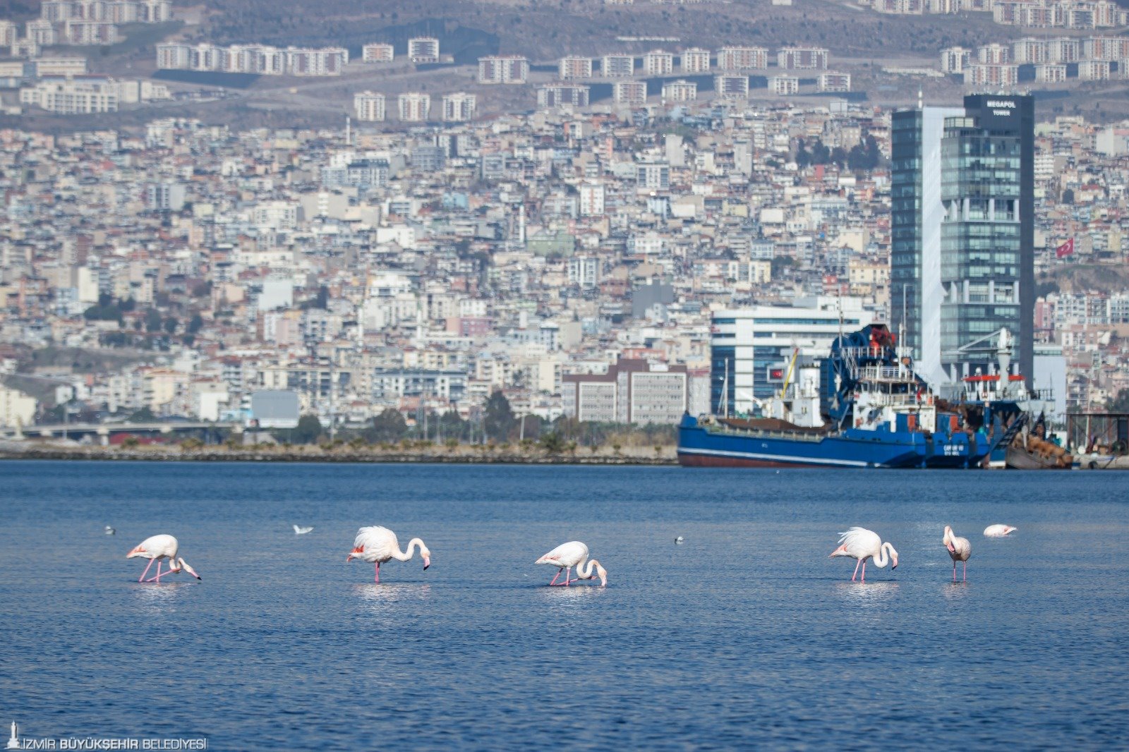 İzmir Sürdürülebilir Kent Ünvanı (3)