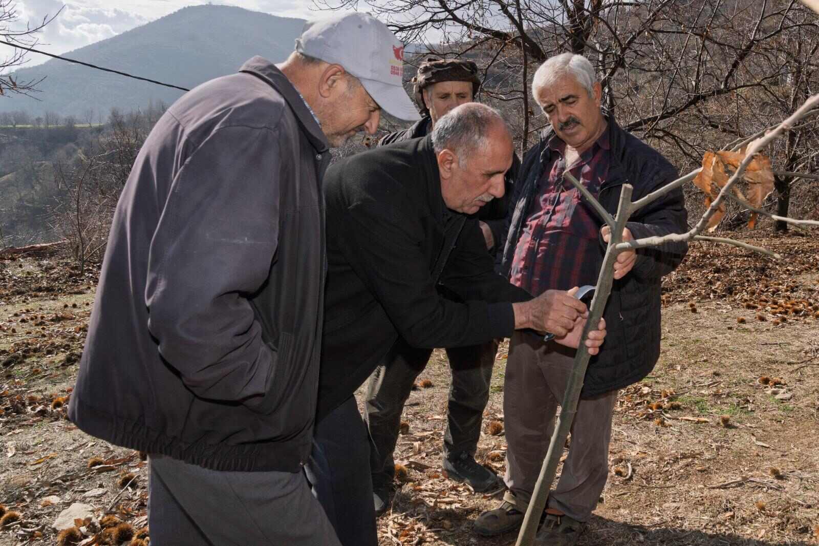 Küçük Menderes