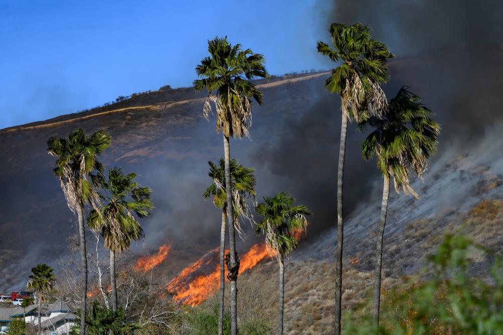 Los Angeles'ta 7 Ocak’ta çıkan orman yangınlarında bilançosbir kez daha ağırlaştı.