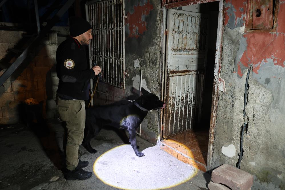 Detaylı arama ve narkotik köpekleri