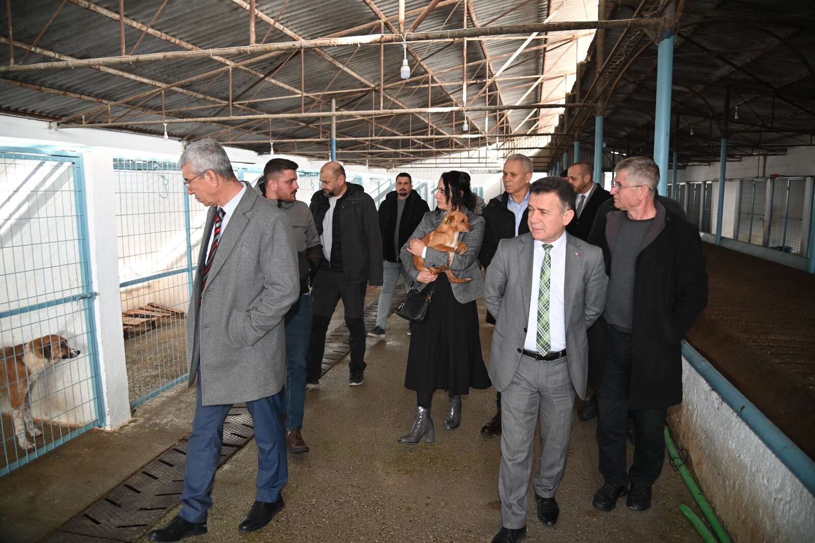 Manisa Şanslı Patiler Bakımevi