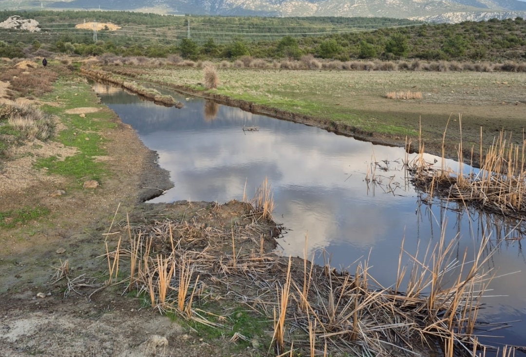 Karaburun iris gölü