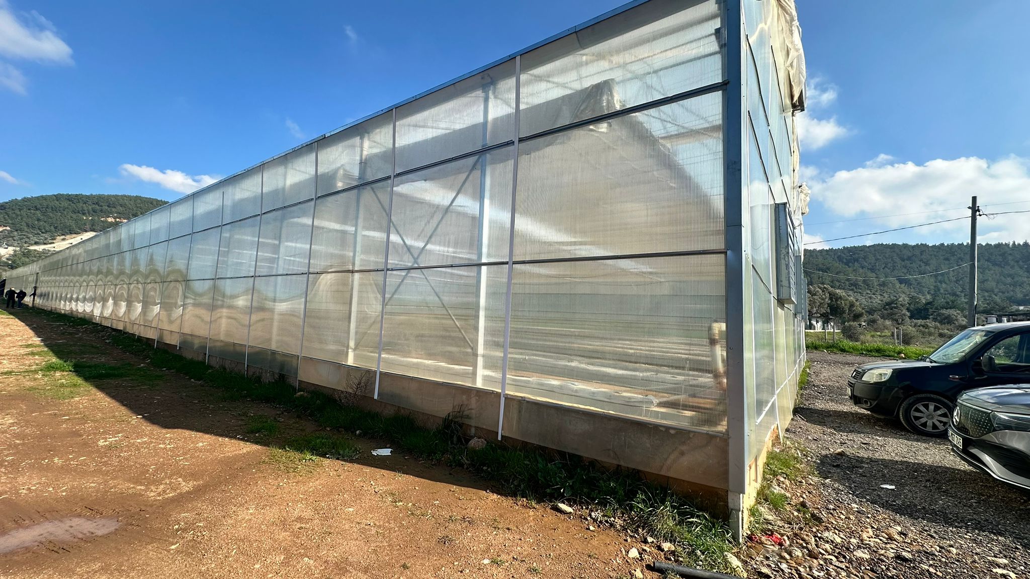 Buca Belediyesi sera