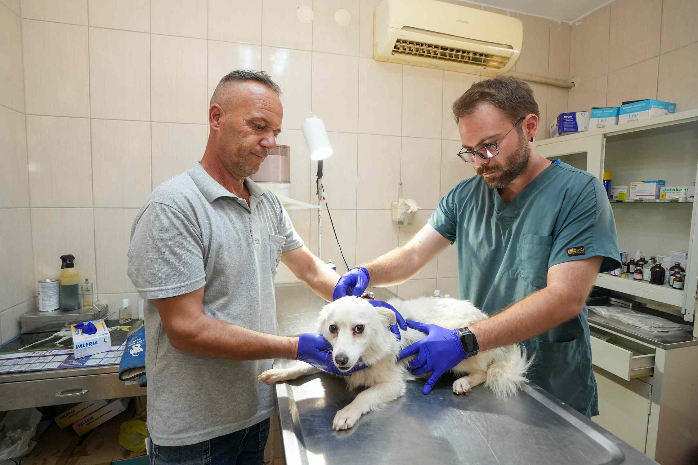 Sağlık taramaları yapıldı