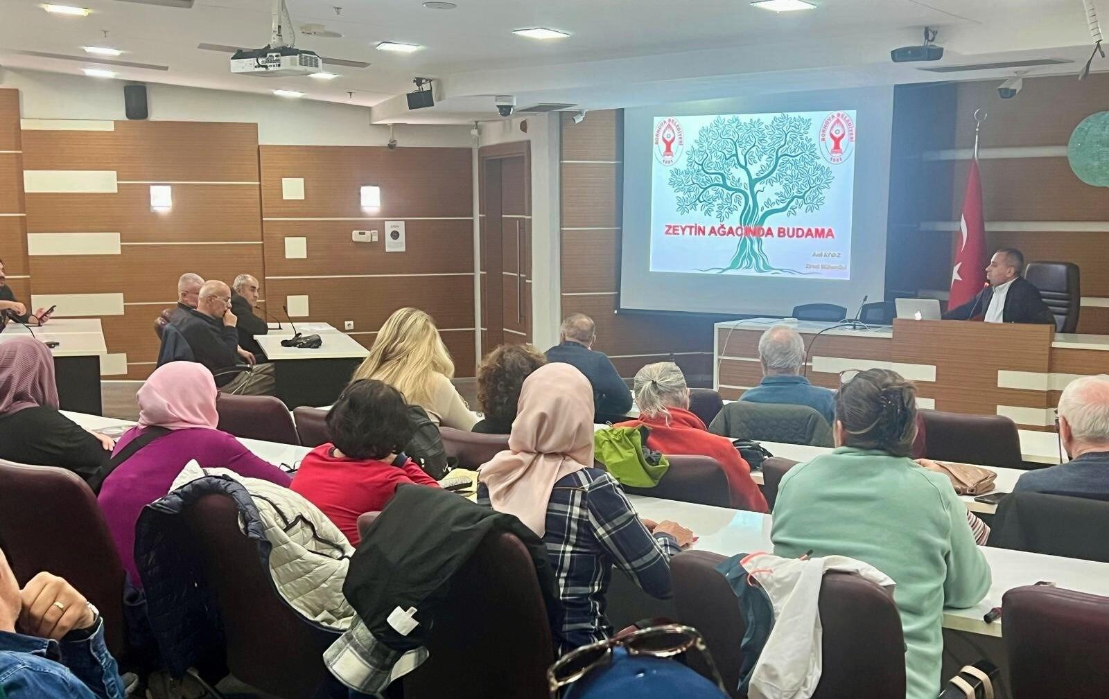 zeytin ağacından budama teknikleri