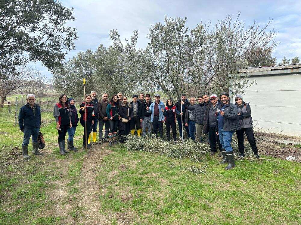 Zeytinde Daha Fazla Verim Için B (1)