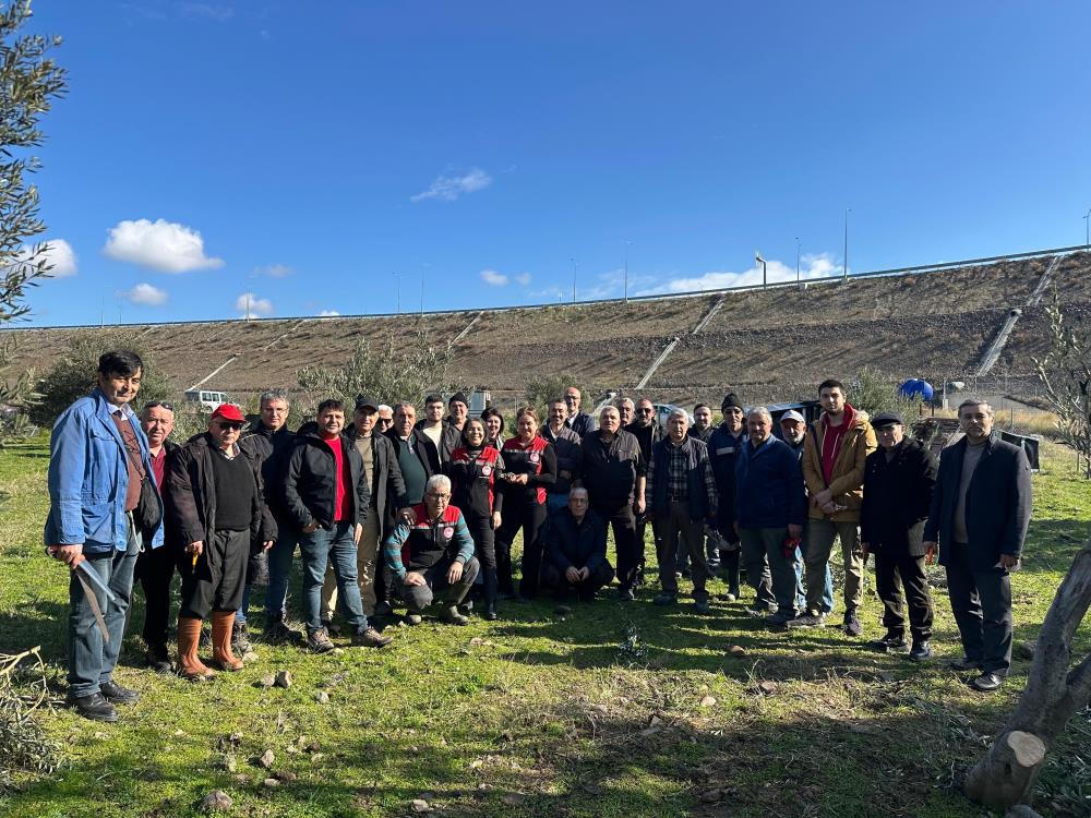 Zeytinde Daha Fazla Verim Için Budama Kursu Aliağa