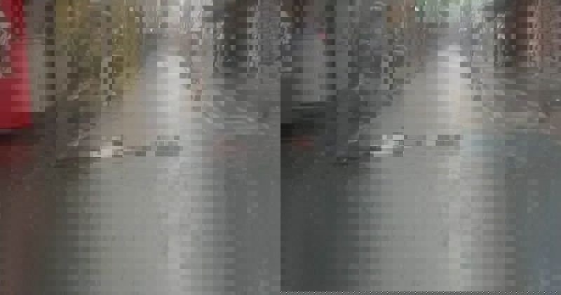 780X411 Izmirde Yagmur Can Aldi Elektrik Akimina Kapildilar 1720812862127 800X421