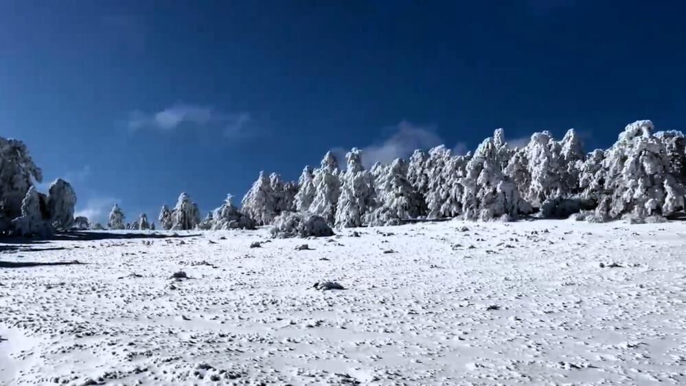 Ekipler Karla Mücadele İçin Seferber Oldu