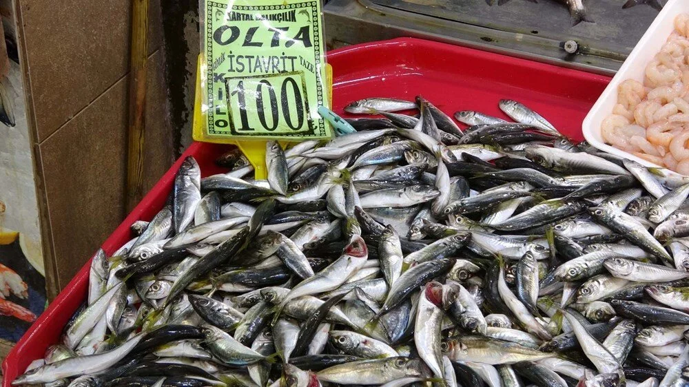 Balıkçılar Soğuk Hava Bekliyor