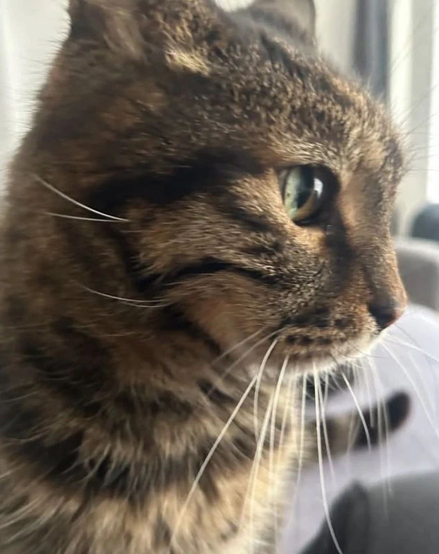 "Bu dünyadan bir Gürkan Enişte geçti"