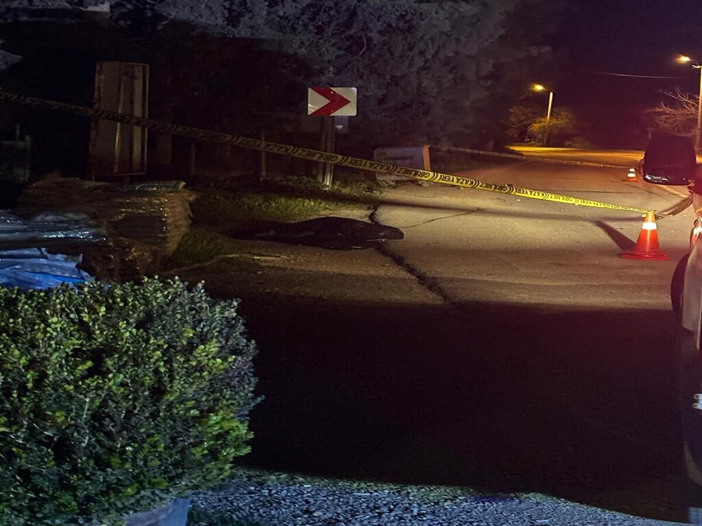 Bodrum Engelli Genç Araba Çarpma