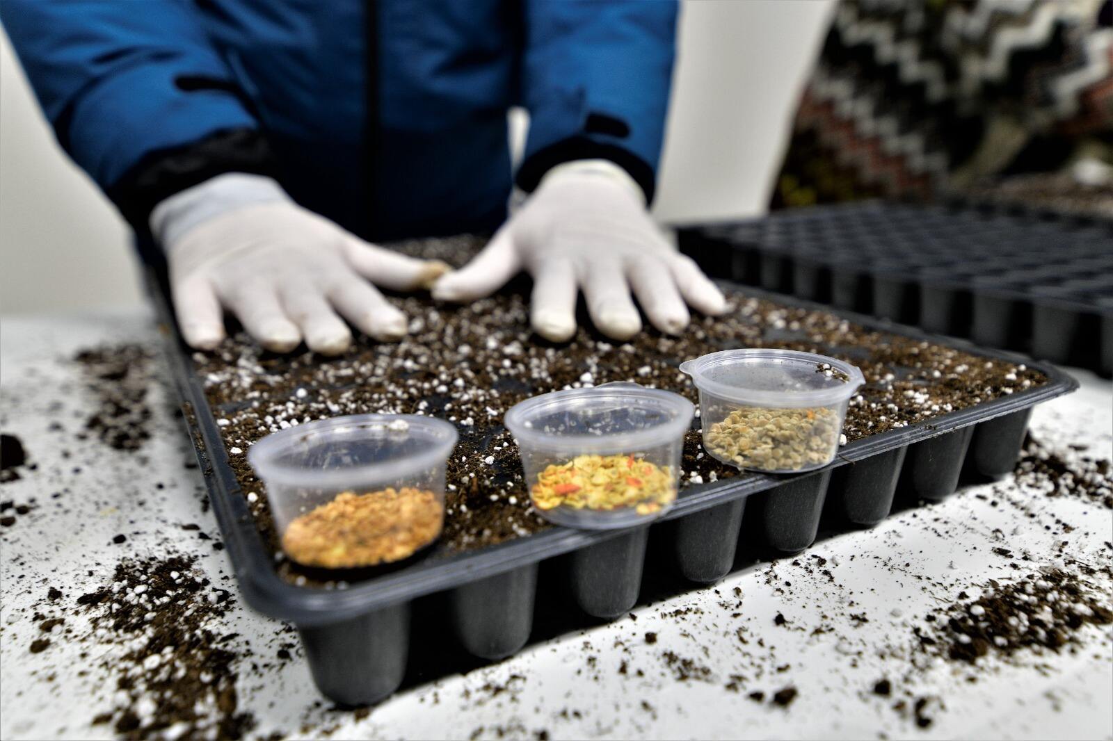 Bornova Belediyesi Ekolojik Kent Yerel Tohum Merkezi