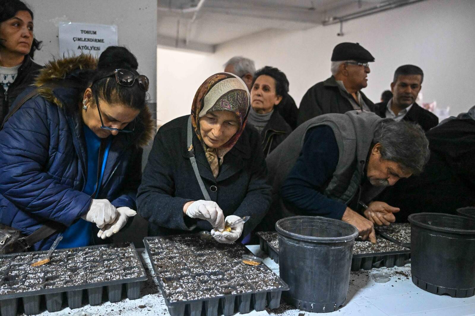 Bornova tohum şenliği