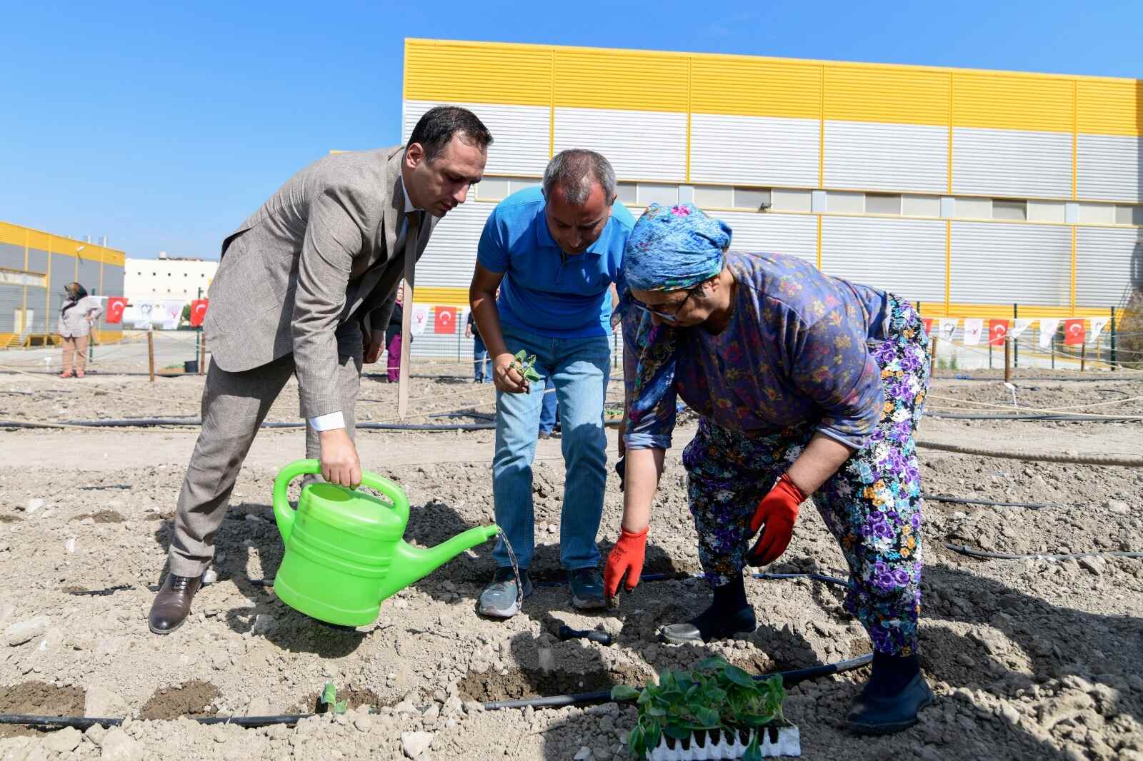 Bornova Tohum Takas Şenliği