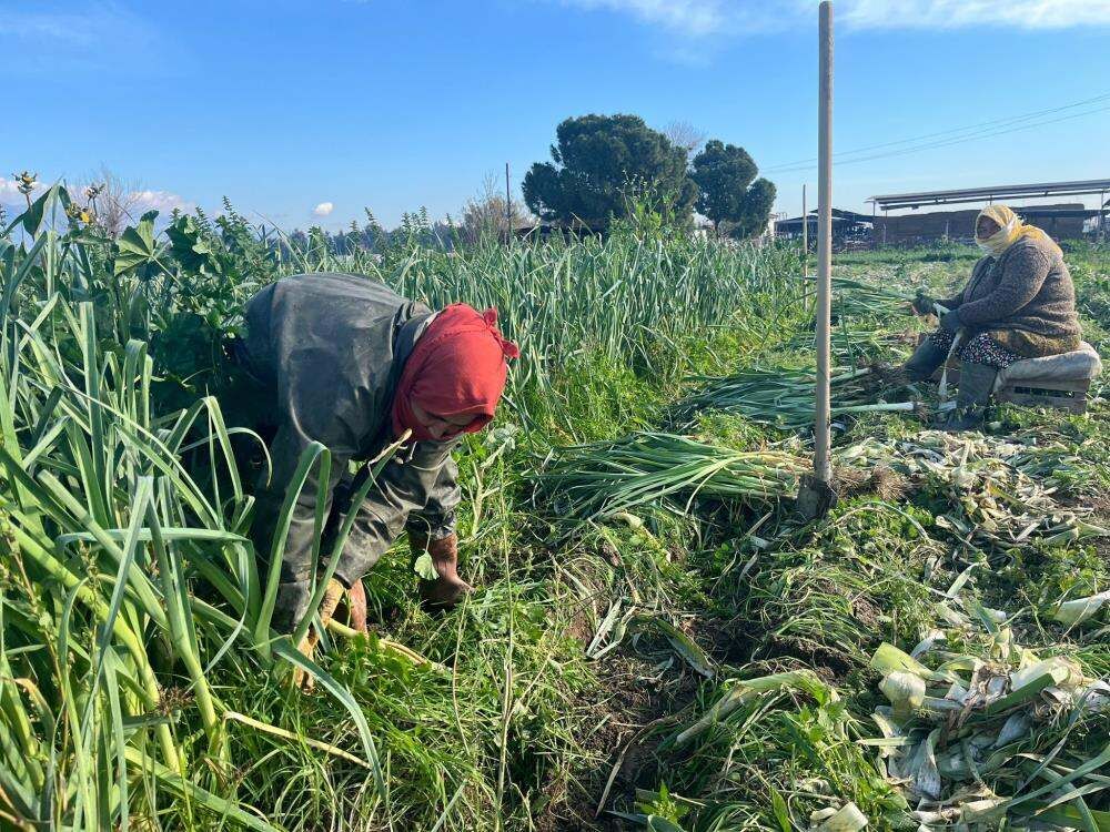 Çalışarak Sağlığını Koruyor Ve E (1)