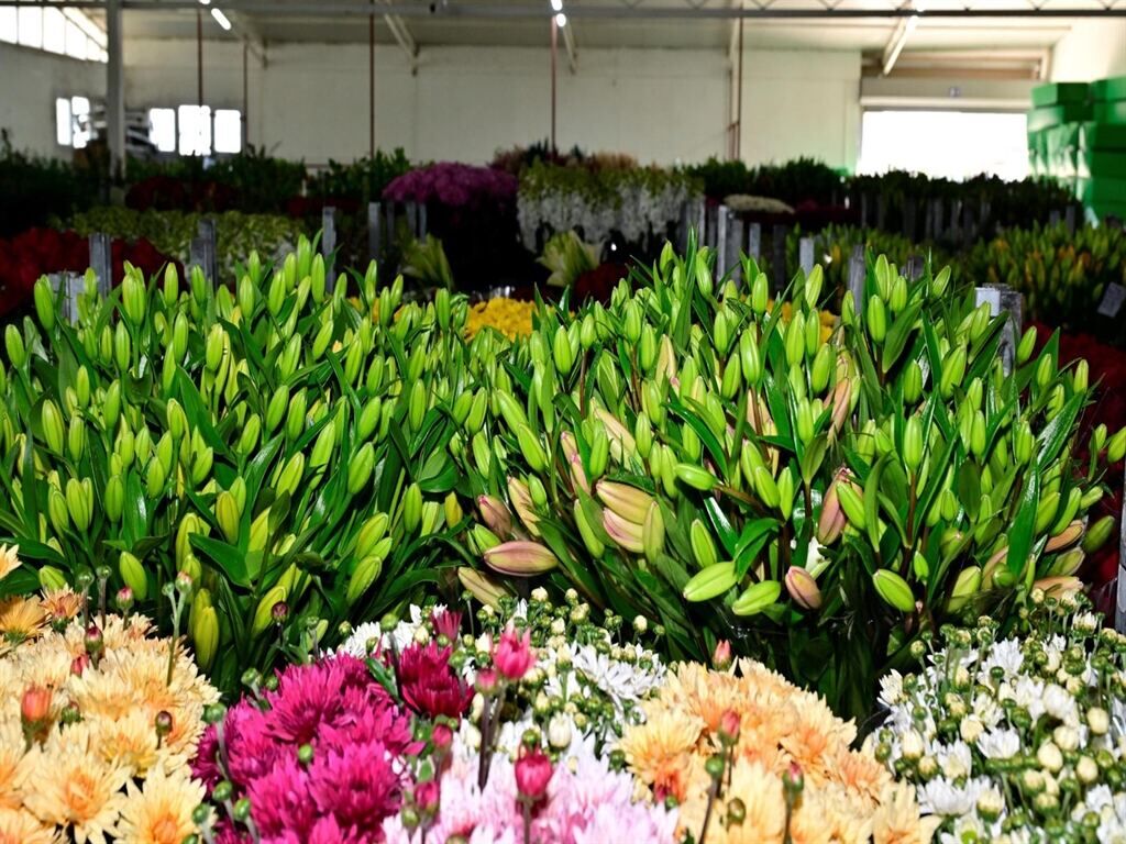 Çiçek Sevgililer Günü