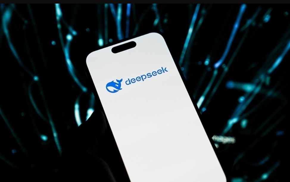 Deepseek'e bir yasak da Hollanda'dan geldi.