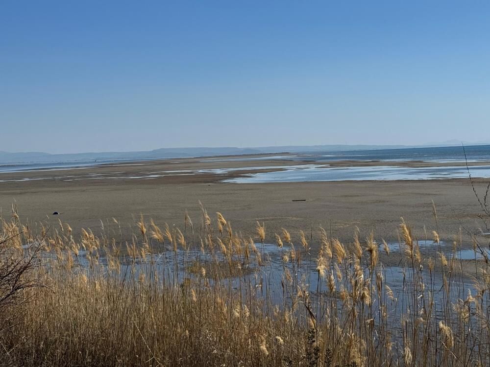 Gel-Git Olayları Nedeniyle Yaşanıyor