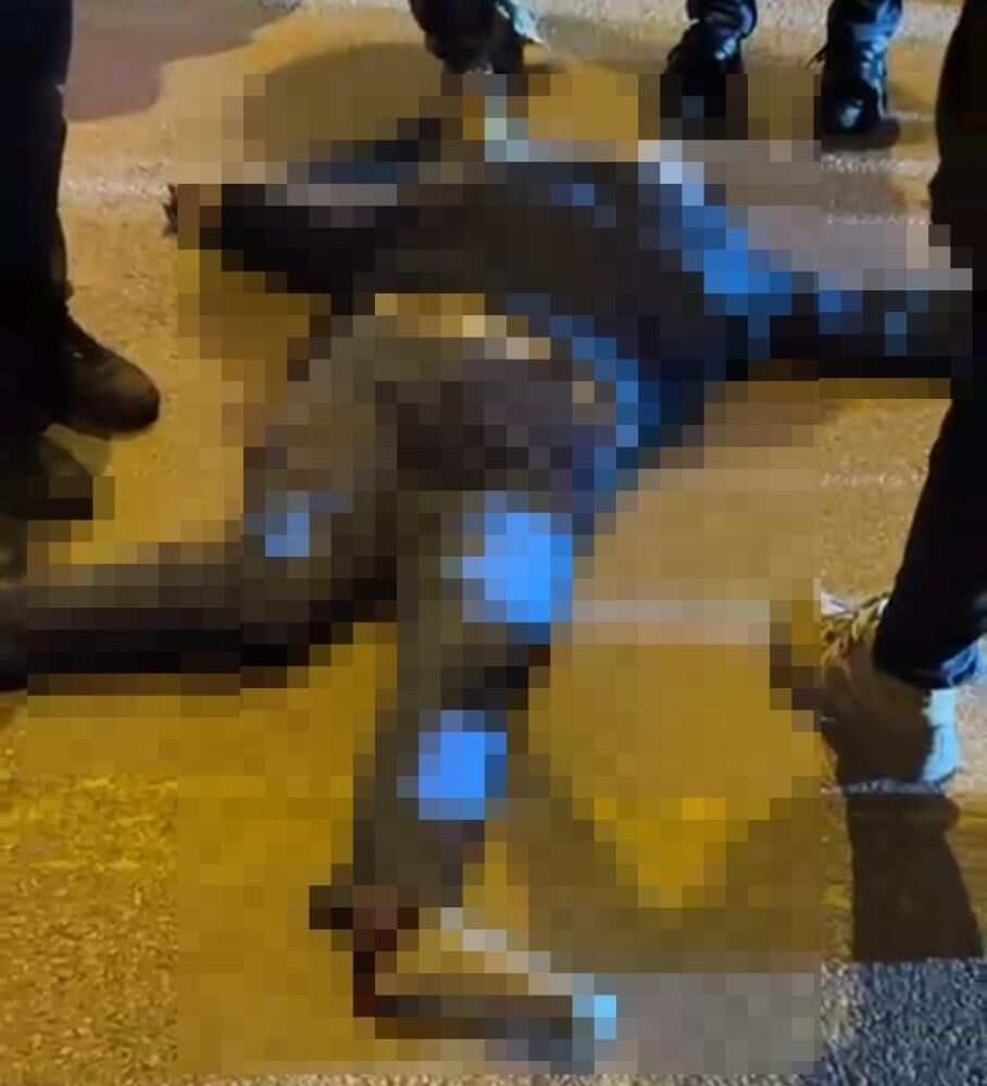 Didim’e Ev Almaya Geldikazada Hayatını Kaybetti Aydınn