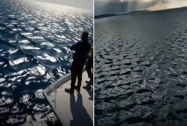 Kare dalgalar ürküttü